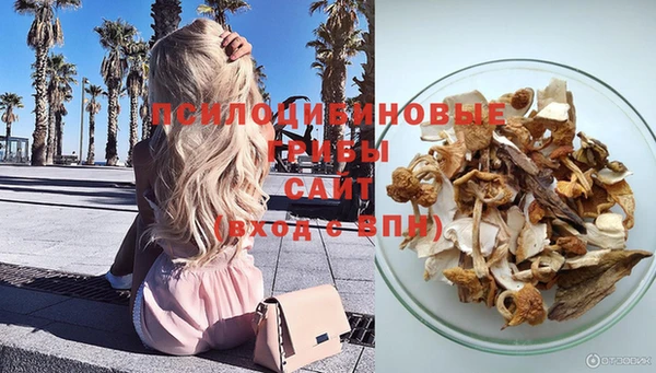 ECSTASY Навашино